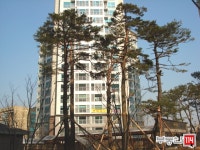 [부동산114] [아파트] 대덕테크노밸리10단지 1012동 월세 희망가격 25,000/50만원