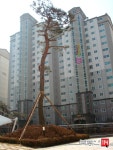 [부동산114] [아파트] 대덕테크노밸리10단지 1012동 월세 희망가격 25,000/50만원