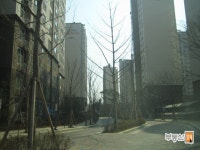 [부동산114] [아파트] 동일하이빌 107동 월세 희망가격 5,000/70만원