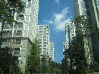 [부동산114] [아파트] 더샵레이크사이드 109동 전세 희망가격 19,000만원