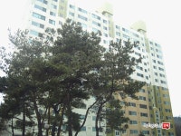 [부동산114] [아파트] 월봉대우 103동 매매 희망가격 17,500만원