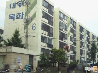 목화 사진 2