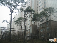 [부동산114] [아파트] 쌍용동일하이빌 106동 매매 희망가격 33,500만원