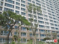 [부동산114] [아파트] e편한세상 108동 월세 희망가격 3,000/80만원