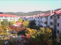부동산 빅데이터, 부동산114 부동산 빅데이터 플랫폼 부동산114