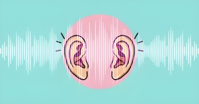 큰거 vs 작은거 - 모니터 마이너 갤러리