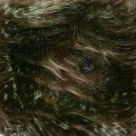 Artbreeder Image from Artbreeder