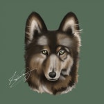 묘약 작가 - 아트머그 - 반려동물 일러스트