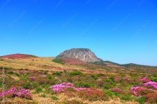 제주에 있는 한라산의 봄 풍경이다. 스톡 사진 | Adobe Stock