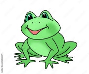 frog illustration Stock Illustration | Adobe Stock frog illustration Stock Illustration