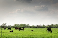 landscape Stock Photo | Adobe Stock landscape Stock Photo