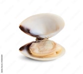 Page 11 | Opened Stock Photos, Images and Backgrounds for Free Download