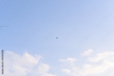 Sky and bird 스톡 사진 | Adobe Stock Sky and bird 스톡 사진
