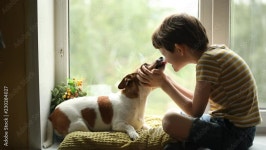 Page 30 | Happy Puppy Stock Video Footage for Free Download