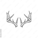 Page 2 | Antlers Vector Art, Icons, and Graphics for Free Download