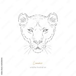 Page 8 | Female Lion SVGs for Free Download