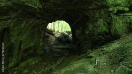 Forest Cave Stock Video Footage for Free Download