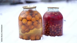 Canned Stock Video Footage for Free Download