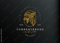 Luxury coffee tree logo design. Vector illustration of coffee tree branch monoline design. Vintage logo design vector line icon... 