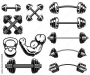 Page 5 | Weight Lifting Vector Art, Icons, and Graphics for Free Download