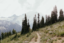 Mt Rainer Stock Photo | Adobe Stock Mt Rainer Stock Photo