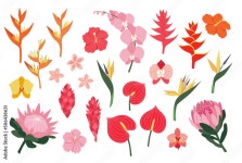 Page 30 | Jungle Flowers PNGs for Free Download