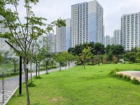 신도시 아파트 단지내 공원(도시공원) 스톡 사진 | Adobe Stock 신도시 아파트 단지내 공원(도시공원) 스톡 사진