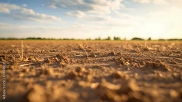 Land Stock Video Footage for Free Download