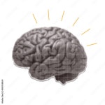 Page 11 | Digital Brain PNGs for Free Download