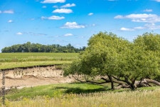 Landscape view of a rustic rural pasture with a dry creek bed and sparse scrub trees, with blue sky Stock Photo | Adobe Stock... 