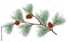 Page 14 | Branch Tree PNGs for Free Download