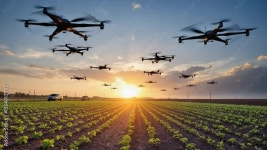 Page 18 | Precision Stock Video Footage for Free Download