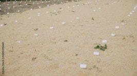 Page 4 | Resistant Stock Video Footage for Free Download