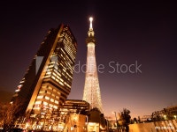 夕暮れの東京スカイツリーと東京ソラマチ。2020年2月、東京都墨田区にて撮影。 - 이 스톡 사진 구입 및 Adobe Stock에서 유사한 이미지... 