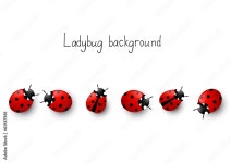 Ladybugs PNGs for Free Download