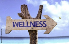 Page 6 | Wellness Stock Photos, Images and Backgrounds for Free Download