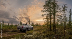 Car in the forest Stock Photo | Adobe Stock Car in the forest Stock Photo