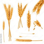 Wheat Ears Icon 111632 Vector Art at Vecteezy Download Wheat Ears Icon for free