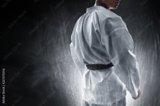 Martial arts fighter 스톡 사진 | Adobe Stock Martial arts fighter 스톡 사진