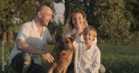 Page 3 | Dog Family Stock Video Footage for Free Download