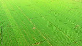 Aerial farmland Stock Video | Adobe Stock Aerial farmland Stock Video