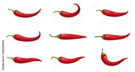 Chilli Vector Art, Icons, and Graphics for Free Download