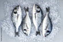 Page 15 | Fresh Fish Stock Photos, Images and Backgrounds for Free Download