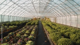 Big greenhouse Stock 비디오 | Adobe Stock Big greenhouse Stock 비디오
