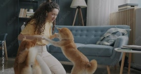 Animal Love Stock Video Footage for Free Download