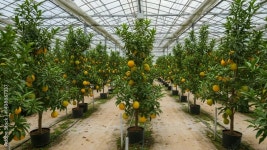 Page 13 | Flourish Stock Video Footage for Free Download