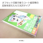 20シート×5冊） リコメン堂 - 通販 - PayPayモール カラーレーザー＆カラーコピー用光沢紙ラベル A4 8面 65×95mm LBP-G6908 シールに