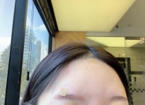 시그니처성형외과의원 위치 · 진료시간 · 후기 확인하기