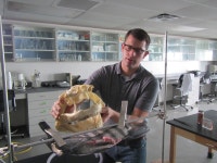 In Shallow Water - National Geographic Channel - Abu Dhabi Photos - When Sharks Attack - National Geographic Channel - Abu Dhabi... 