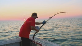 Wicked Tuna - National Geographic Farsi - Your favorite shows Photos - Wicked Tuna - National Geographic Farsi - Your favorite... 